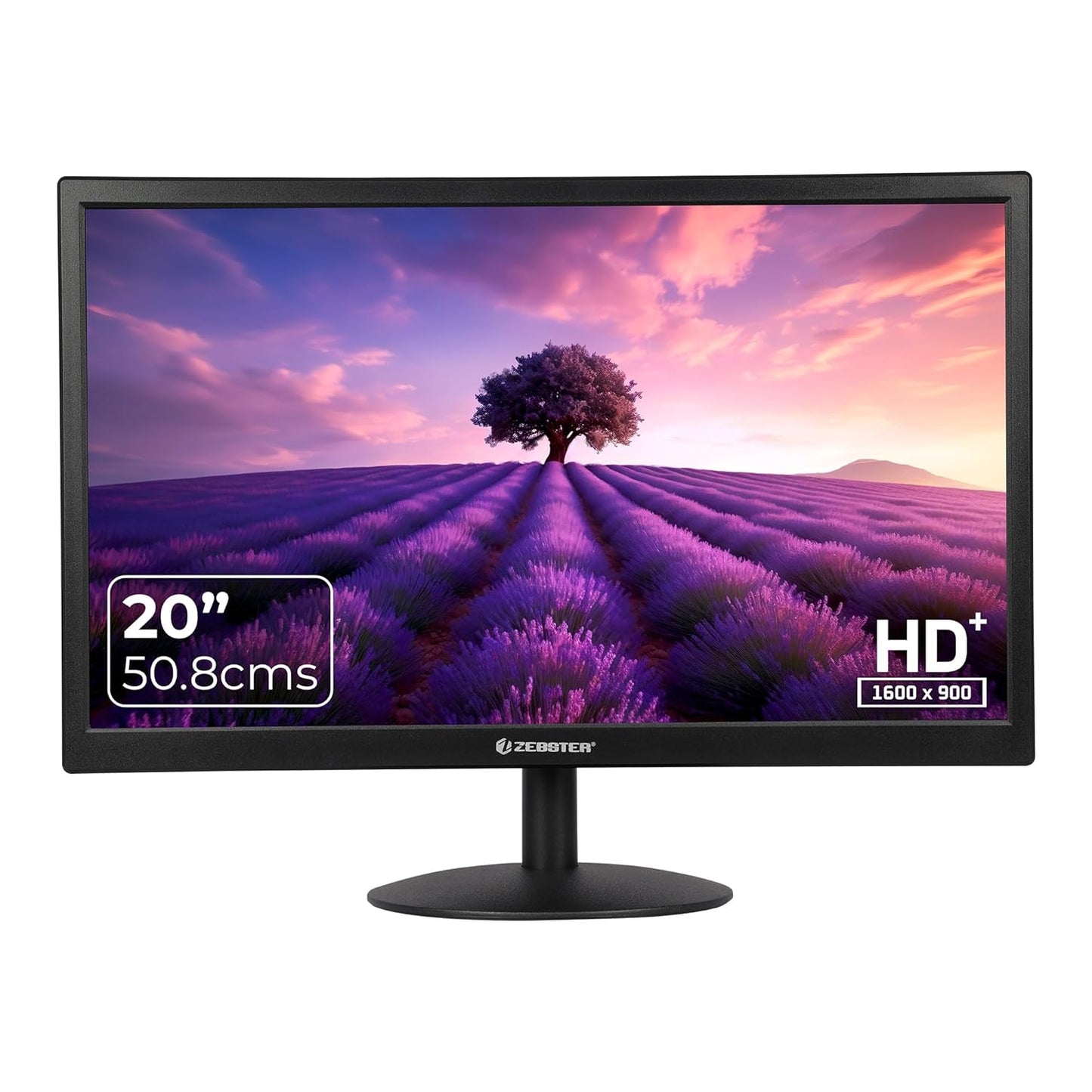 ZEBSTER A20HD LED,20 Inch (50.8cm) LED Monitor